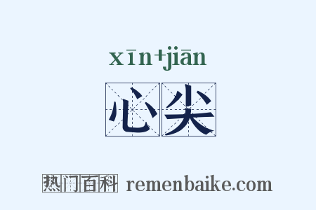 心尖是什么意思的图片